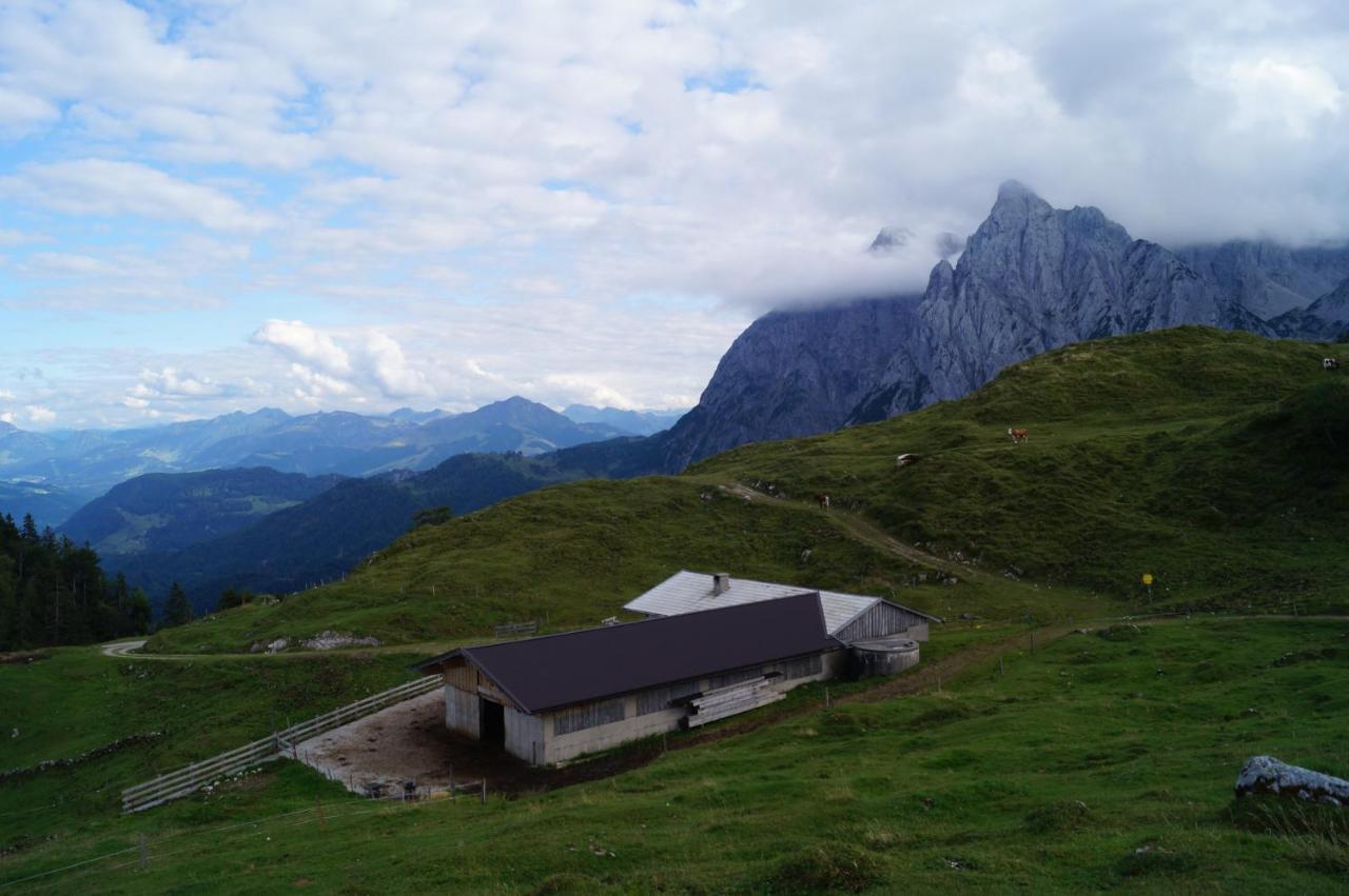 Schneiderbauer Bed and Breakfast Waidring Εξωτερικό φωτογραφία